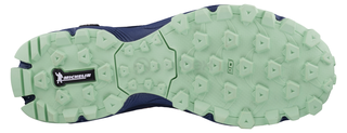 Žygio batai | Batai Viking Anaconda Light INV Fit GTX 349160