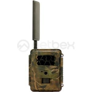 Žvėrių stebėjimo kameros | Žvėrių stebėjimo kamera Seissiger Special-Cam LTE
