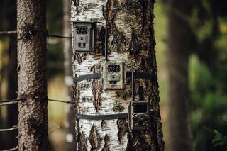 Žvėrių stebėjimo kameros | Žvėrių stebėjimo kamera Burrel S12 HD + SMS 3 